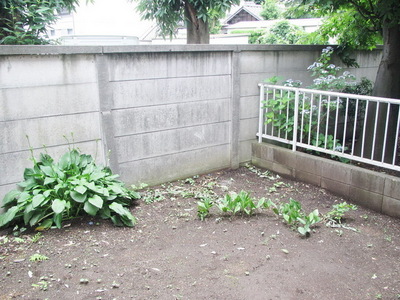 View. The first floor is a dedicated garden.