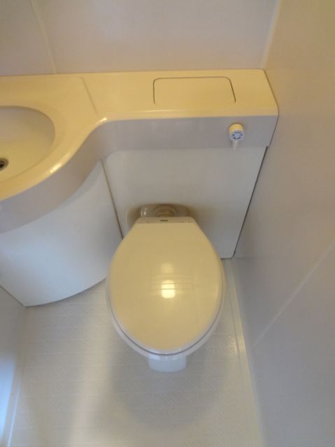 Toilet. Toilet