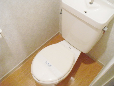 Toilet. Toilet