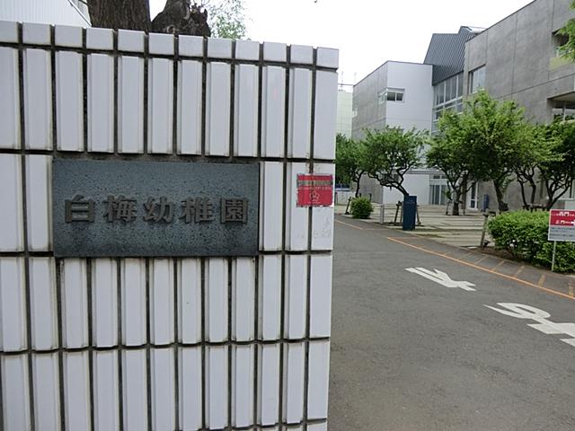 kindergarten ・ Nursery. 710m to private Shiraume Gakuen College comes with white plum kindergarten
