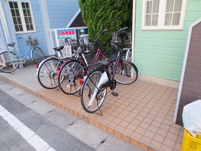 Parking lot. Bicycle parking space