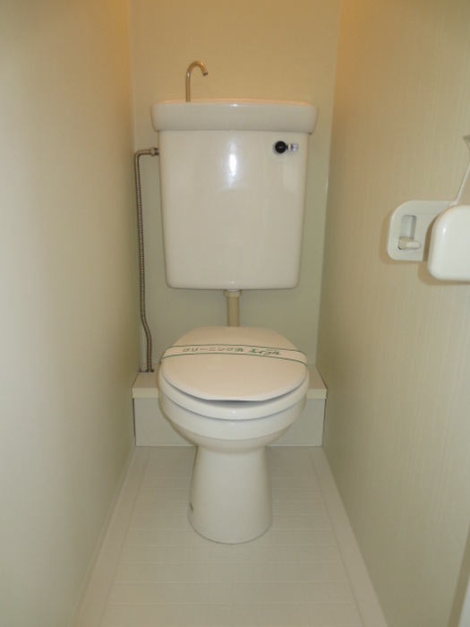 Toilet. Clean water around. 