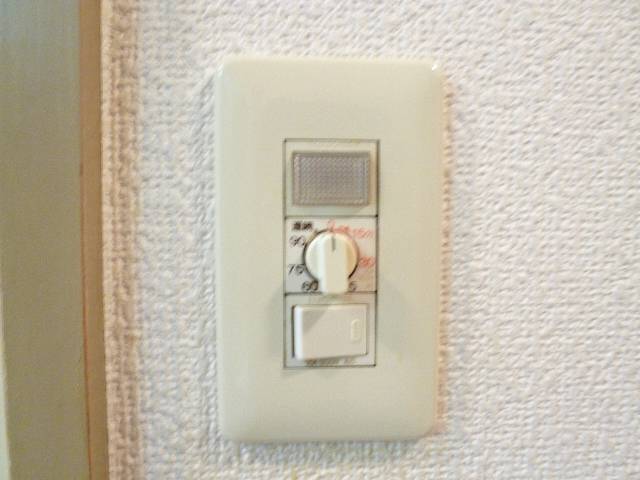 Other. Light switch