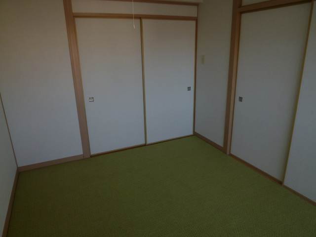 Living and room. Carpet of Western-style