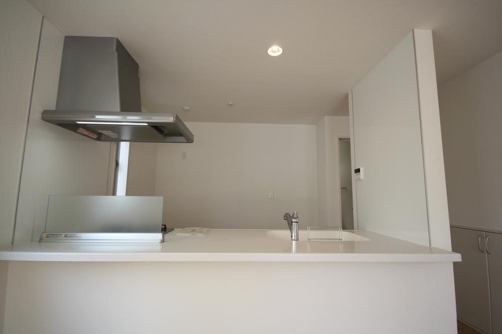 Kitchen. Indoor (11 May 2013) Shooting