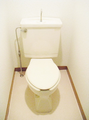 Toilet. Toilet