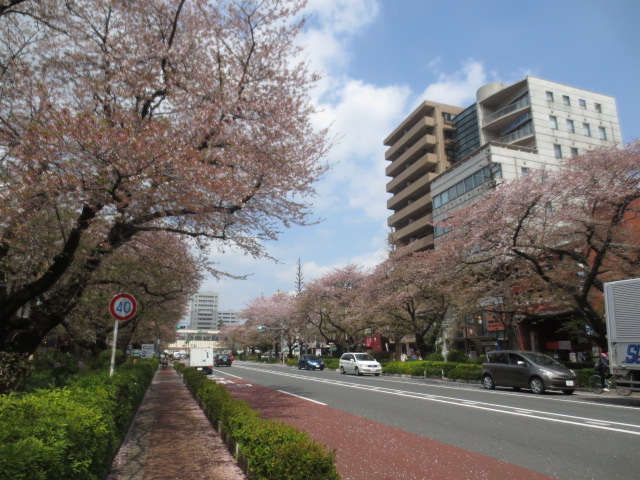 Other. Street University until the (other) 1380m