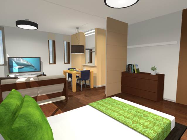 Living and room. Image view