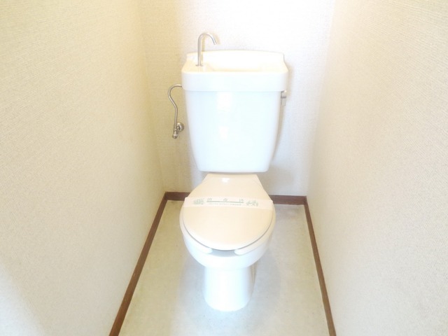 Toilet. Toilet