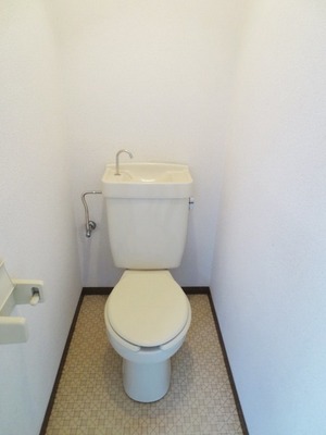 Toilet. Toilet