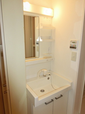 Washroom. Independent basin is equipped with a convenient shampoo dresser