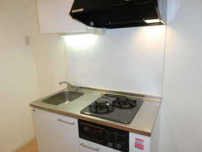 Kitchen. Gas stove is a 2-neck system Kitchen