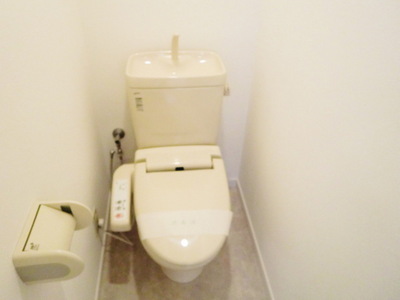 Toilet. Toilet is with a bidet