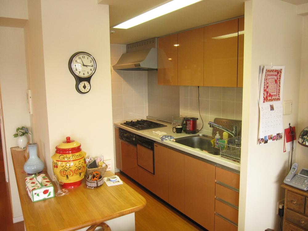 Kitchen. water filter, Dishwasher, There is large-scale counter.