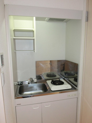 Kitchen. Gas stove is a 1-neck system Kitchen