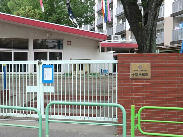 kindergarten ・ Nursery. Fawn to kindergarten 786m