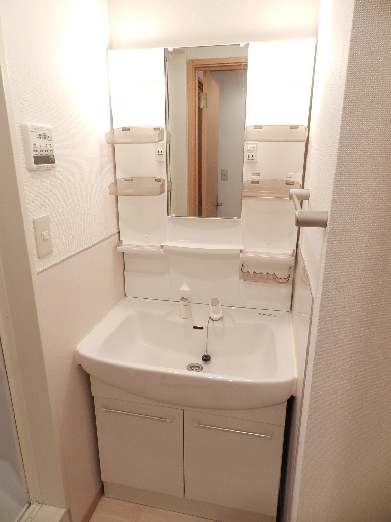 Washroom. Bathroom vanity