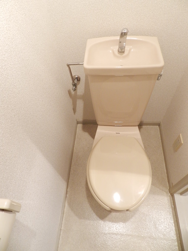 Toilet. Reference photograph