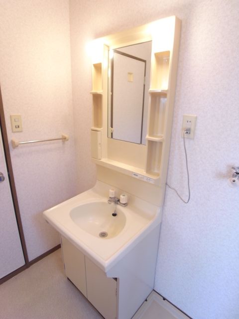 Washroom. Bathroom vanity