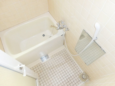 Bath. Beautiful bathroom