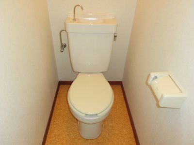 Toilet. It is clean toilets