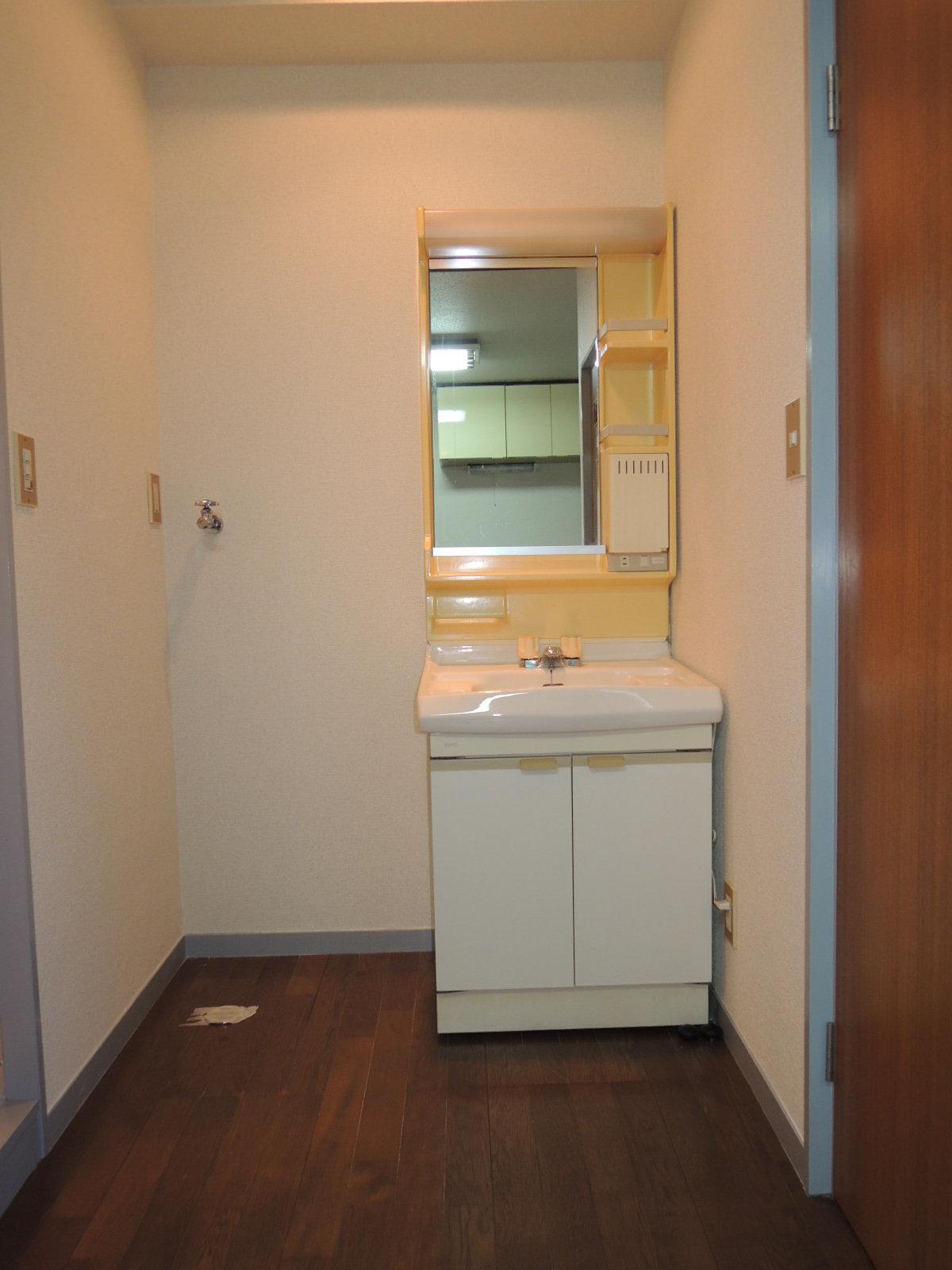 Washroom. Separate vanity with