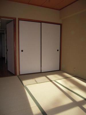 Living and room. Living room 3