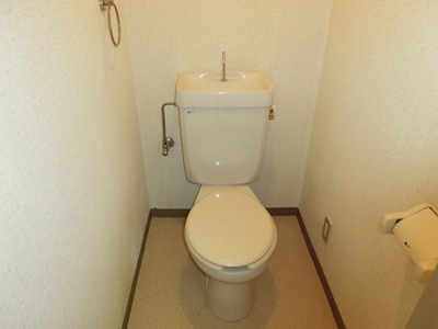 Toilet. It is clean toilets