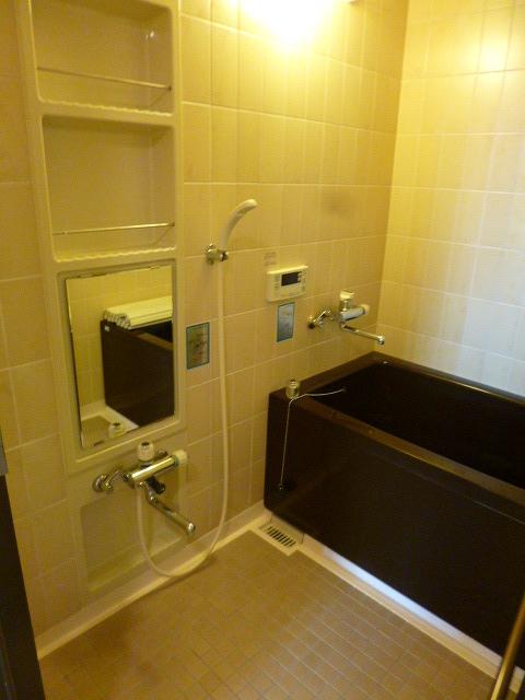 Bathroom. Bathroom of the atmosphere of calm in Brown. With add cook function.