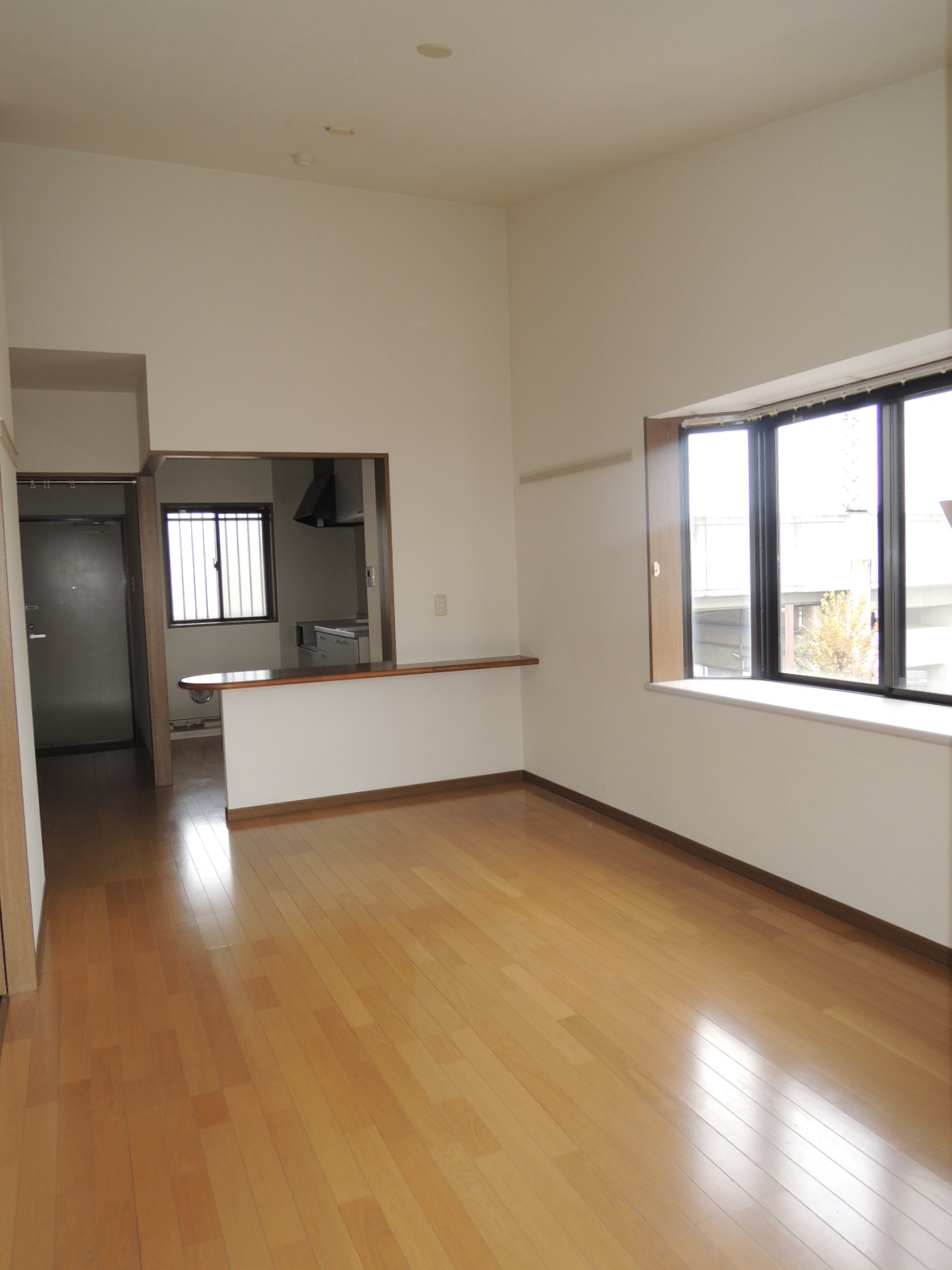 Living and room. The ceiling is more than 3M