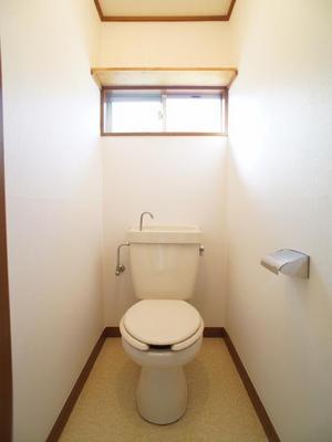 Toilet. Also it comes with storage shelves and a window in the toilet!