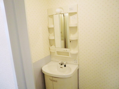 Washroom. Laundry Area and wash basin in the dressing room