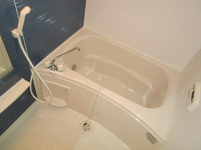 Bath. It is a bathroom with additional heating function