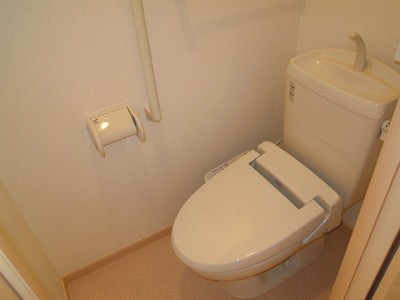 Toilet. Model photo