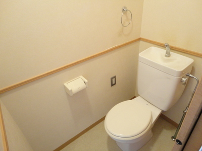 Toilet. Is a toilet with a clean feeling in the space in which the white-toned.