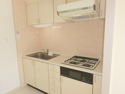 Kitchen. Gas stove is a system kitchen with a three-necked grill