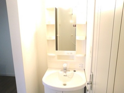 Washroom. Happy independence wash basin in women