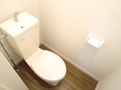 Toilet. Beautiful toilet