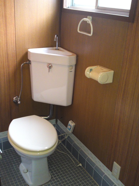 Toilet. First floor toilet