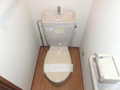 Toilet. Toilet