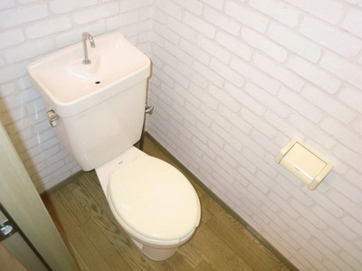 Toilet. Beautiful toilet