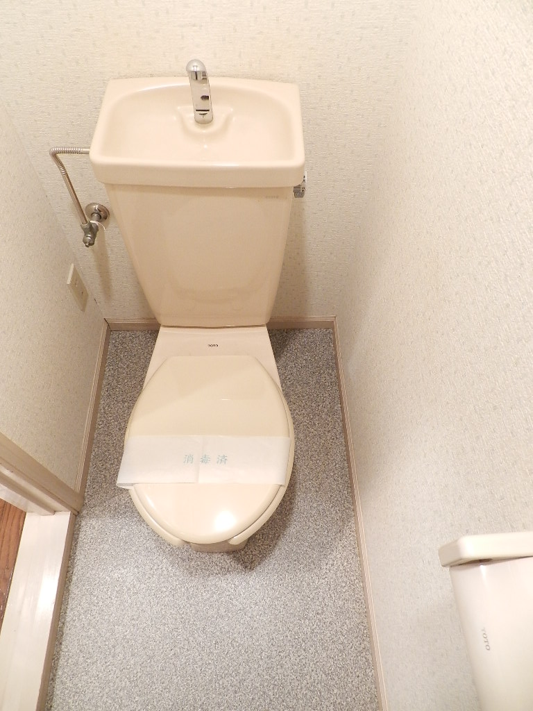 Toilet. Toilet