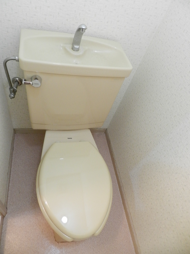 Toilet. Toilet