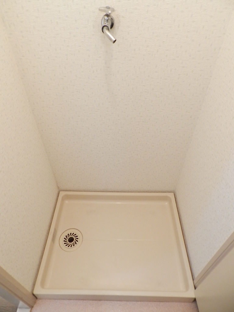 Other room space. Laundry Area