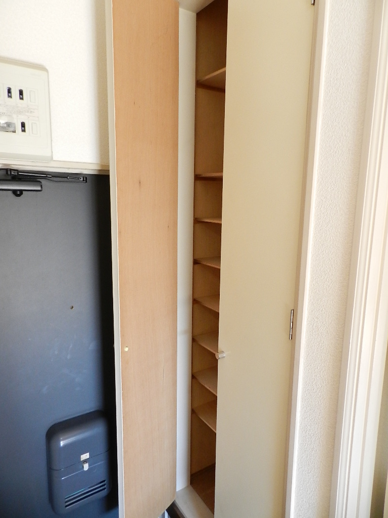 Entrance. Shoe box