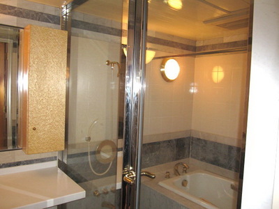 Other room space. Glazed stylish bathroom
