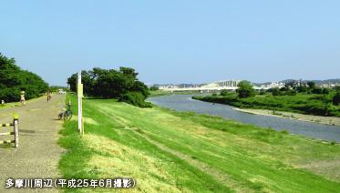 Other. Carefree grow green, Rich natural environment. You can also enjoy fireworks is from the Tama River riverbed. ※ Local surrounding environment (June 2013 shooting)