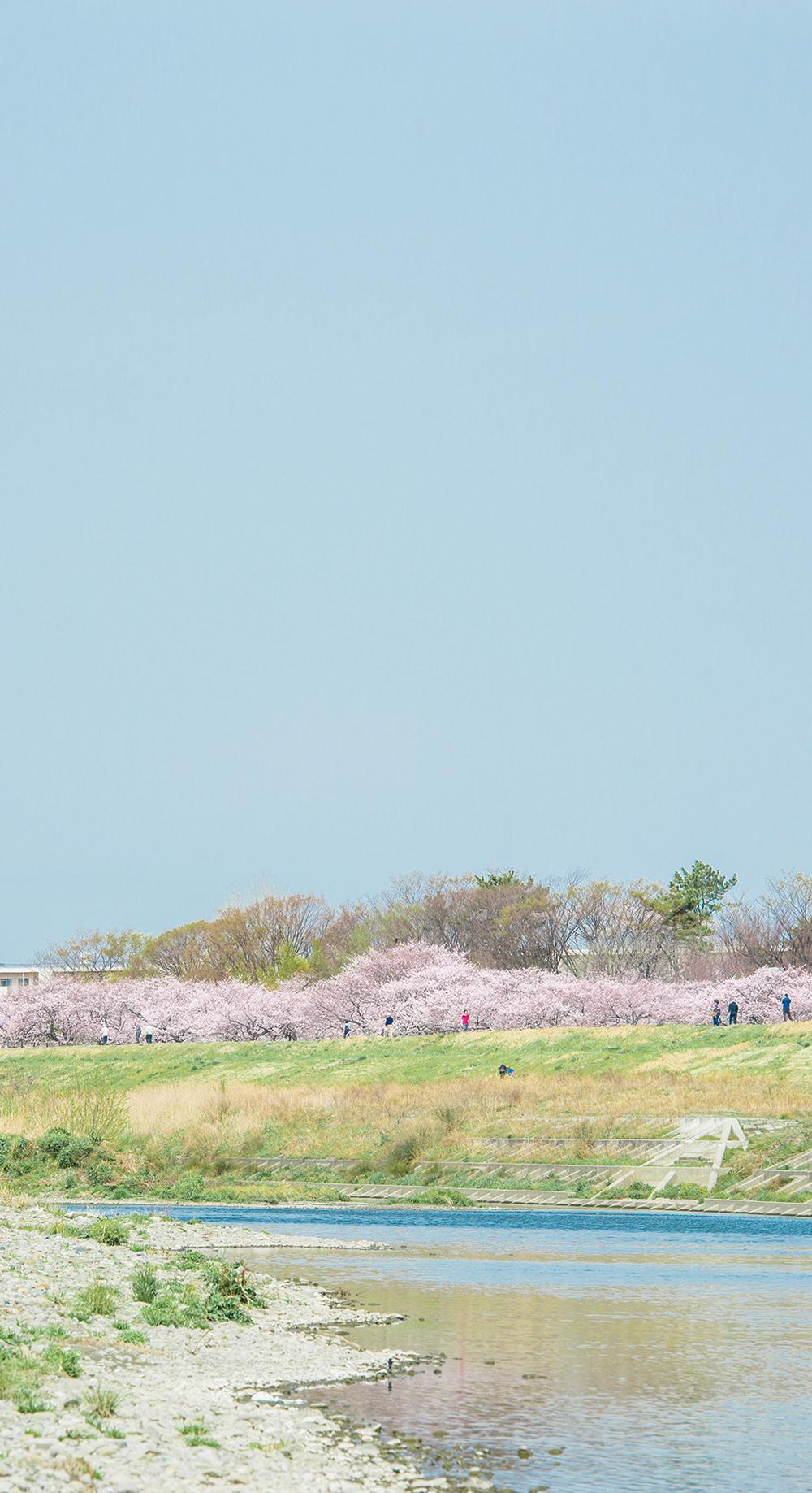 Other. Local surrounding environment (June 2013 shooting)