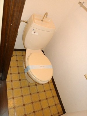 Living and room. Toilet