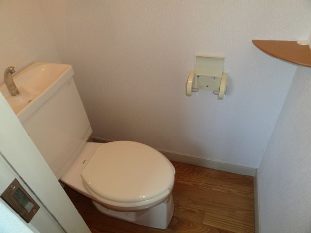 Toilet. Western-style toilet